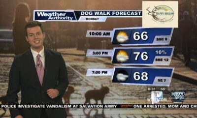 Dog Walk Forecast for March 4 - Cooper