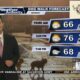 Dog Walk Forecast for March 4 – Cooper