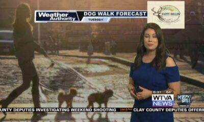 Dog Walk Forecast for March 5th – Stella