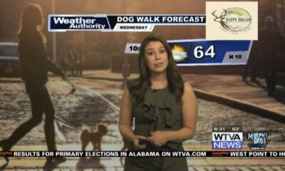 Dog Walk Forecast for March 6th - DeeCee