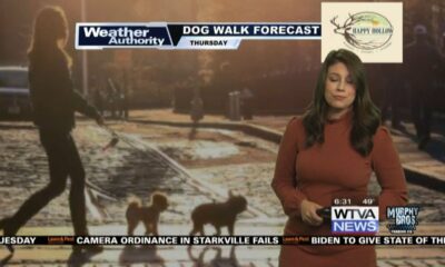 Dog Walk Forecast for March 7th - Izzie