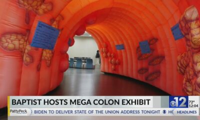 Baptist hosts Mega Colon exhibit