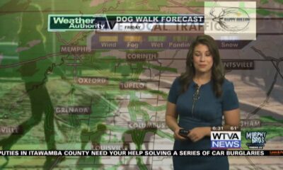 Dog Walk Forecast for March 8th – Kao Jennings