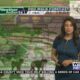 Dog Walk Forecast for March 8th - Kao Jennings