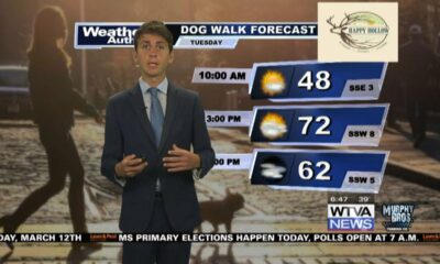 Dog Walk Forecast For March 12 - Bruno