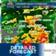 Detailed Forecast 3/15/24