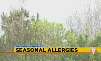 Wellness Wednesday: Seasonal Allergies