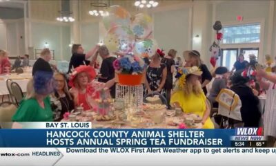 Hancock County Animal Shelter hosts annual "Spring Tea" fundraiser