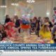 Hancock County Animal Shelter hosts annual "Spring Tea" fundraiser