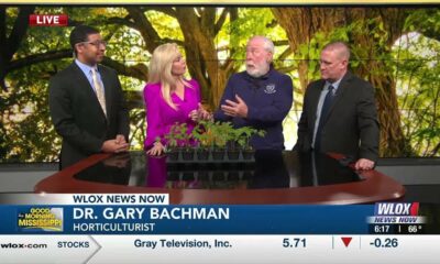 Dr. Gary Bachman discusses when to plant your garden this spring