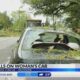 Tree falls on woman's car in Jackson