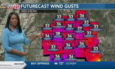 News 11 at 10PM_Weather 4/2/24