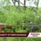 Pocahontas residents clean up after storms