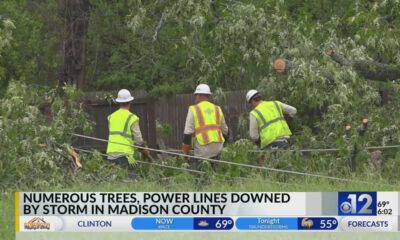 Numerous trees, power lines downed by storms in Madison County