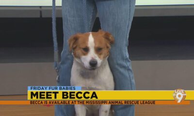 Friday Fur Babies: Meet Becca