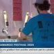 Fly Llama Brewery hosts 2nd annual Llamaroo Music Festival