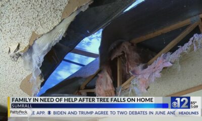 Sumrall family's mobile home damaged by tree