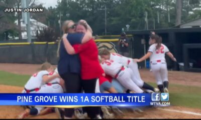 Pine Grove wins 1A state championship for softball