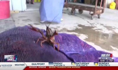 In Their Shoes: Getting crawfish ready for customers