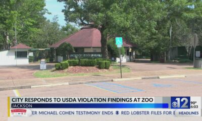 Jackson leaders respond to USDA violation findings at zoo