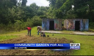 Interview: Baldwyn hosting community garden for all