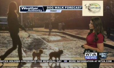 Dog Walk Forecast for May 24 – Salvatore