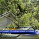 Tree falls on Blue Mountain home during overnight storms