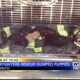 Corinth Fire looking for help with abandoned puppies