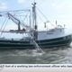 2024 Shrimp Season kicks off on the Mississippi Sound