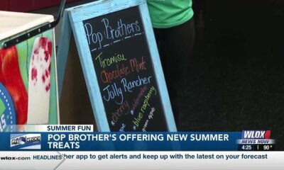 Pop Brothers offering new summer flavors