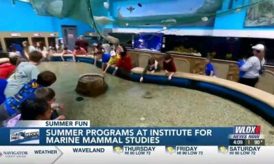 Institute for Marine Mammal Studies in Gulfport hosting summer programs