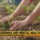 Gardening and Mental Health