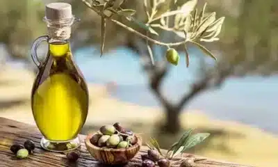 Olive Oil: A Kitchen Staple