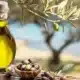 Olive Oil: A Kitchen Staple