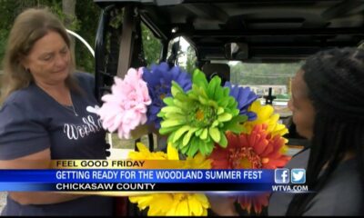 Woodland Summer Fest happening this weekend