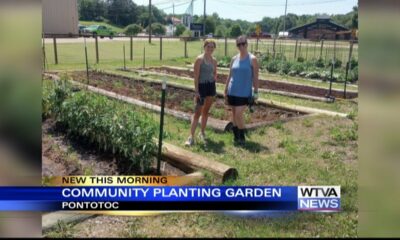 Community plants garden in Pontotoc