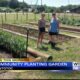 Community plants garden in Pontotoc