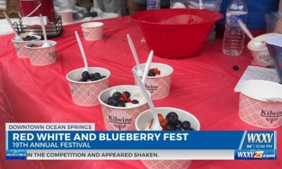 19th annual Red, White, and Blueberry Festival in Ocean Springs