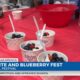 19th annual Red, White, and Blueberry Festival in Ocean Springs