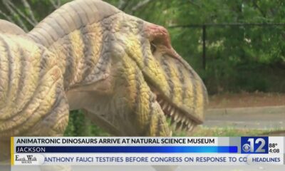 Love dinosaurs? There’s a new exhibit coming to Jackson