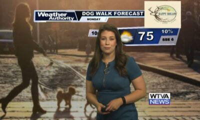 Dog Walk Forecast for June 3rd - Lulu