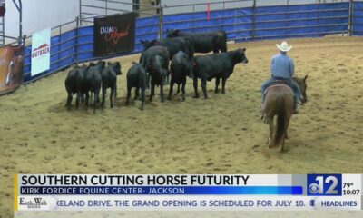 Southern Cutting Horse Futurity held in Jackson