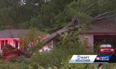 Residents are seeking shelter after tree falls on home