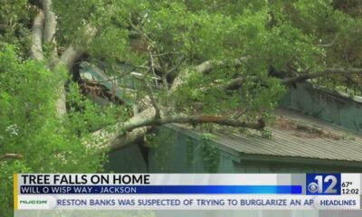 Family okay after tree falls on Jackson home