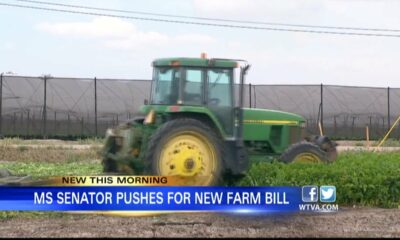 U.S. Sen. Cindy Hyde-Smith pushes for new farm bill