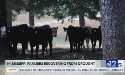 Mississippi farmers recovering from 2023 drought