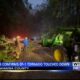 NWS confirms tornado touched down in Itawamba County on Wednesday