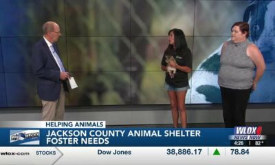 Happening June 8: Jackson County Animal Shelter's Sips for Snips