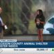Happening June 8: Jackson County Animal Shelter's Sips for Snips