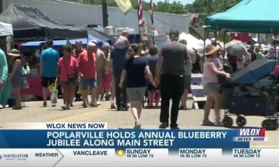 Poplarville’s 40th Blueberry Jubilee draws in first-time vendors
